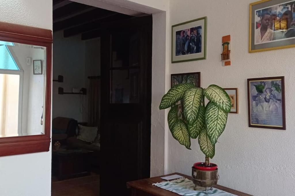 Ca Na Perereta Villa Sencelles Luaran gambar